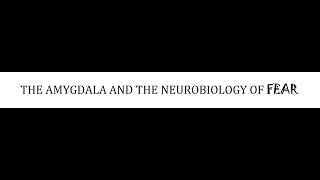 STAHLS  CH 9  PART 2  THE AMYGDALA AND NEUROBIOLOGY OF FEAR  psychiatrypsychopharmacology [upl. by Suzanna742]