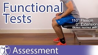 Functional Assessment in Physiotherapy [upl. by Ytok]