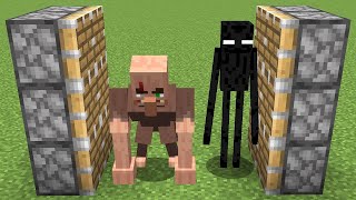 mutant villager  enderman [upl. by Seko]