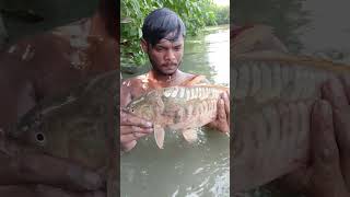 Fishing time fishing commoncarp fish bigcarpfish freshwaterfish bigfish carpfish funny [upl. by Sothena]