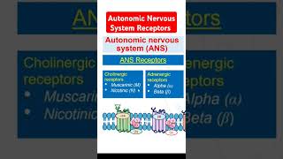 Autonomic Nervous System Receptors [upl. by Oleusnoc]