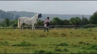 Hiking in Buckinghamshire [upl. by Gereld]