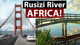 Rusizi River Rusizi River Delta Rusizi National Park  BurundiThings to do in Bujumbura  Full HD [upl. by Kcirrad121]