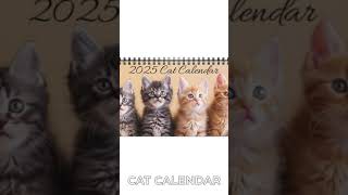 Cat Desktop Calendar Cat Desk Calendar 2025 Desk Calendar Kitten Calendar Cat Calendar Kitty [upl. by Kingdon]