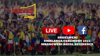 SHISELWENI UMHLANGA CEREMONY 2022  MBANGWENI ROYAL RESIDENCE  LIVE BROADCAST [upl. by Rhiana]