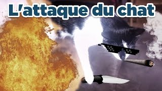 Un streameur se fait attaquer Sauvagement par une bete sauvage en live [upl. by Ellebanna]