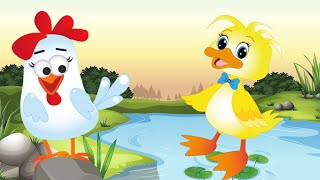 🦆Pato Tomás  Canciones Infantiles🐓🐤🦆infantil cancionesparaniños musicainfantil childrensongs [upl. by Noxin]