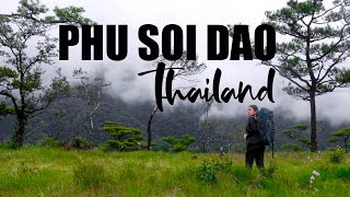 Phu Soi Dao  One of the most beautiful nature trails in Thailand  Uttaradit [upl. by Euqinwahs665]