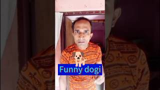 Funny dogi￼🐕😂comedyvideos funny shorts funnydogi comedydogi funnyanimals dog [upl. by Lussier479]