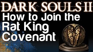 How to Join the Rat King Covenant  Dark Souls 2 Gnawing Covenant Achievement  WikiGameGuides [upl. by Ahsiekram]