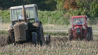 Munktells BM20 Working Hard in The Field Ploughing w 2Furrow Plough  Swedish Agriculture [upl. by Rind]