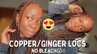 HOW TO DYE LOCS WITHOUT BLEACH  No damage and easy maintenance‼️ [upl. by Vivica]