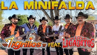 LOS TIGRILLOS FT LOS LIGADITOS  LA MINIFALDA [upl. by Acirdna]