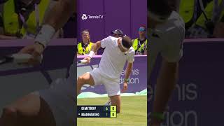 Dimitrov Winner From The Floor 🤯 [upl. by Yellas]