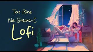 Tere Bina Na Guzara E  Lofi Slowed amp Reverb  Savana Khan [upl. by Dlanar299]