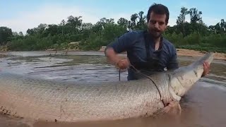 300pound alligator gar caught in Houston  FOX 7 Austin [upl. by Cyrillus]