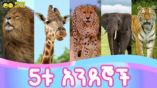 5ቱ አንደኞች  በልጆች የሚወደድ የኢትዮጵያ ልጆች መዝሙር ነው “The five ones” Ye ethiopia lijoch song  የኢትዮጵያ ልጆች መዝሙር [upl. by Lemuelah]