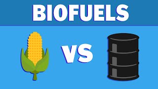 What are Biofuels and Where are They Going [upl. by Elish938]