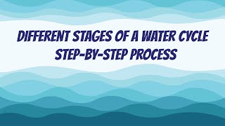 Different Stages of a Water Cycle  StepByStep Process [upl. by Airdnaz247]