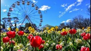 FLORIADE FESTIVAL ACT CANBERRA AUSTRALIA [upl. by Nnaxor]