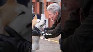 RICHARD GERE TE VA A COMOVER CON SU ACTITUD PARTE 1 shorts [upl. by Yslehc29]