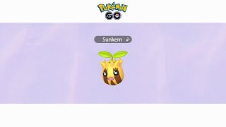 Evolving Sunkern Shiny to Sunflora Shiny  Pokémon Go [upl. by Beattie]