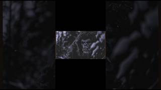 Best Bigfoot footage yeti bigfoot nightmare beast scary terrors aiain’t t [upl. by Maida695]