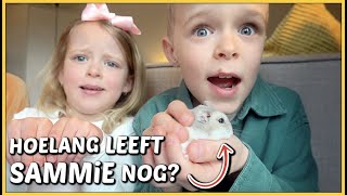 quotGAAT HAMSTER SAMMiE BiNNENKORT DOODquot 🐹😢  Bellinga Vlog 2061 [upl. by Leunad]