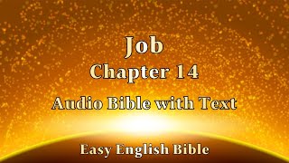 Job Chapter 14 Audio Bible 욥기 14장 성경 보면서 듣기 [upl. by Kinson]