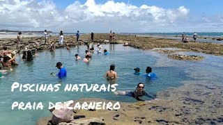 Piscinas Naturais Praia de Carneiro [upl. by Marilou]