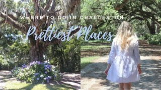 Wadmalaw Island Vlog  Exploring Charleston [upl. by Philippe838]