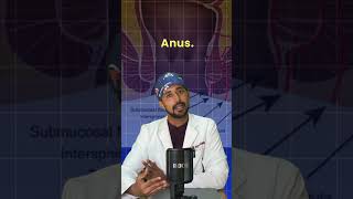 Piles vs Fistula Explained amp Treated Dr Arpit Bansal [upl. by Gillan]