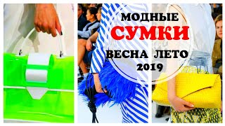 МОДНЫЕ СУМКИ Весна  Лето 2019 Тренды сезона Какие сумки в моде в 2019 году [upl. by Pergrim]