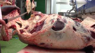 butcher school 2 Boning hind quarter [upl. by Emerson]