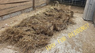 Hay for Bedding [upl. by Niccolo373]