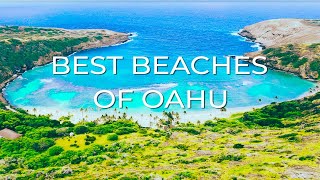 The 10 BEST BEACHES in Oahu  Living in Hawaii these are our favorites [upl. by Nelyk798]