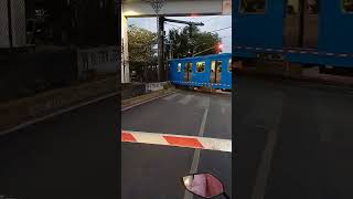 TREN LIGERO CDMX [upl. by Goldston]