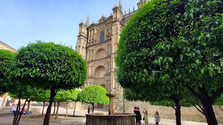 PLASENCIA [upl. by Darda]