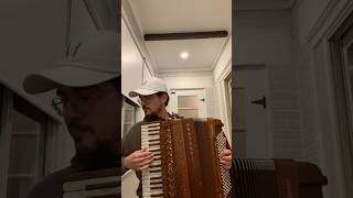 Médard Ferrero  Valse à Viseur accordeon music waltz sanfona improvisation [upl. by Llenrahc]