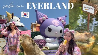 SOLO in EVERLAND VLOG 🇰🇷 sanrio fairy town amp capybaras [upl. by Anelys178]