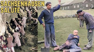 The Sachsenhausen Salute  WWIIs Most BRUTAL Torture Method [upl. by Doxia]