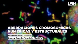 Aberraciones cromosómicas numéricas y estructurales [upl. by Aitercul591]