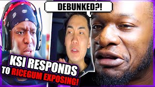 KSI RESPONDS TO RICEGUM  Responding to Ricegum REACTION [upl. by Elison]