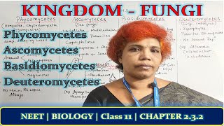 Kingdom Fungi  Phycomycetes  Ascomycetes  Basidiomycetes  Deuteromycetes  Class 11 NCERT [upl. by Doss]