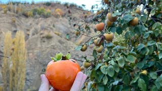 Eminenin Malatya Mutfağı kanalı canlı yayında [upl. by Aurelia]