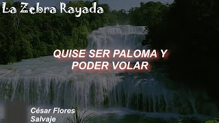 César Flores  Salvaje Letra [upl. by Aivul]