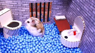 🐹Hamster escapes the awesome maze for Pets in real life 🐹 in Hamster stories Part 2 [upl. by Oinotnas]