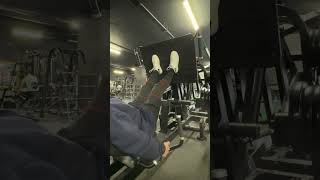 Leg Press Bridge Panatta [upl. by Edy]