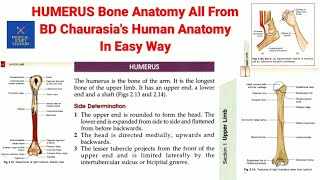 BD Chaurasias Humerus Bone Anatomy [upl. by Eema492]