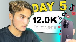 I Started A TikTok Theme Page From Scratch 5 Day Results Inside  Episode 1 [upl. by Eiramave847]